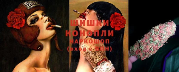 мдпв Елабуга