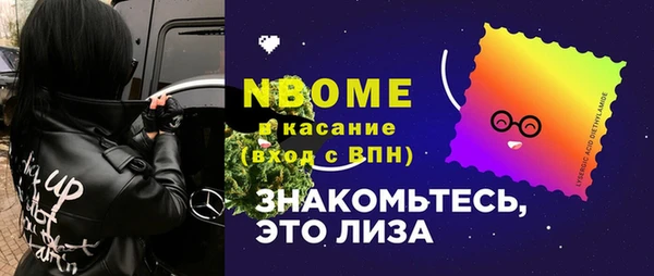 мдпв Елабуга