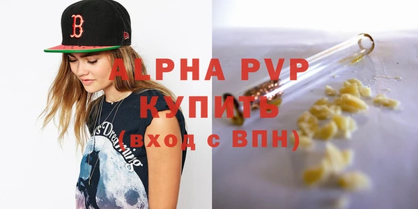 мдпв Елабуга