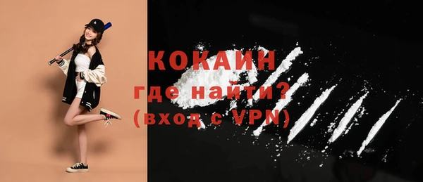мдпв Елабуга