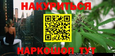 мяу мяу мука Кингисепп