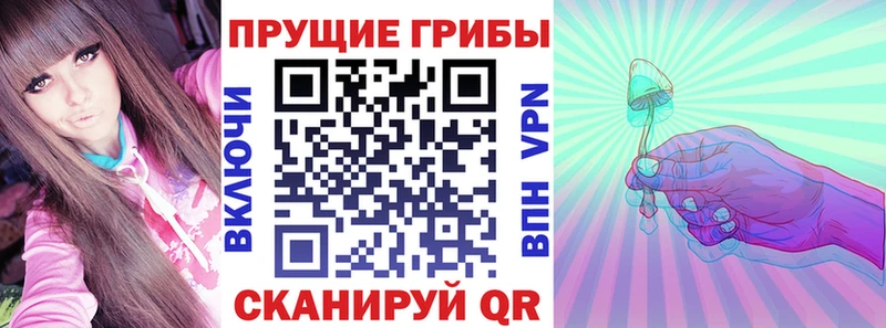 Псилоцибиновые грибы Psilocybine cubensis  купить  цена  Среднеуральск 