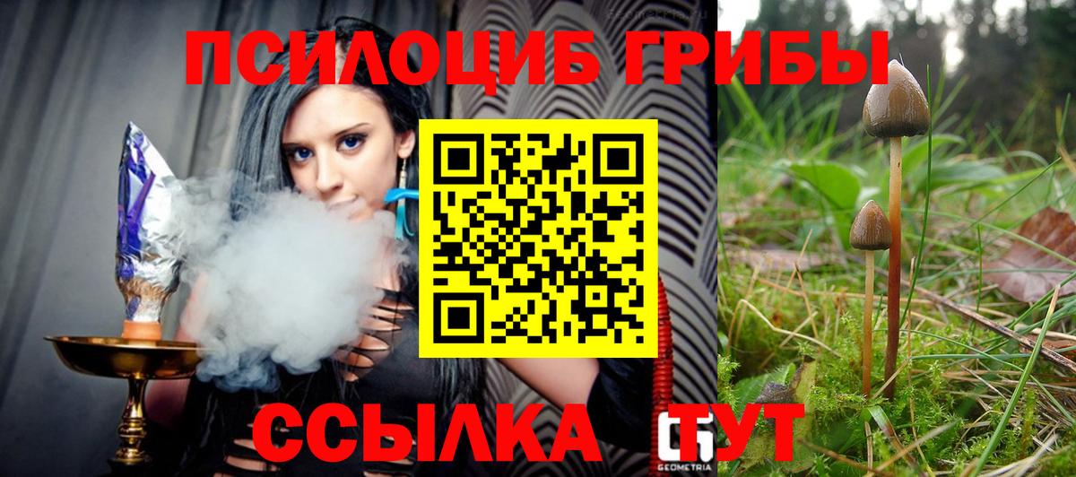 сколько стоит  Псилоцибиновые грибы прущие грибы  Вход с VPN  Среднеуральск  Галлюциногенные грибы MAGIC MUSHROOMS 